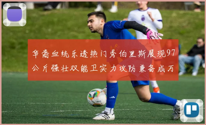 华裔血统乐透热门秀伯里斯展现97公斤强壮双能卫实力攻防兼备成万金油之选