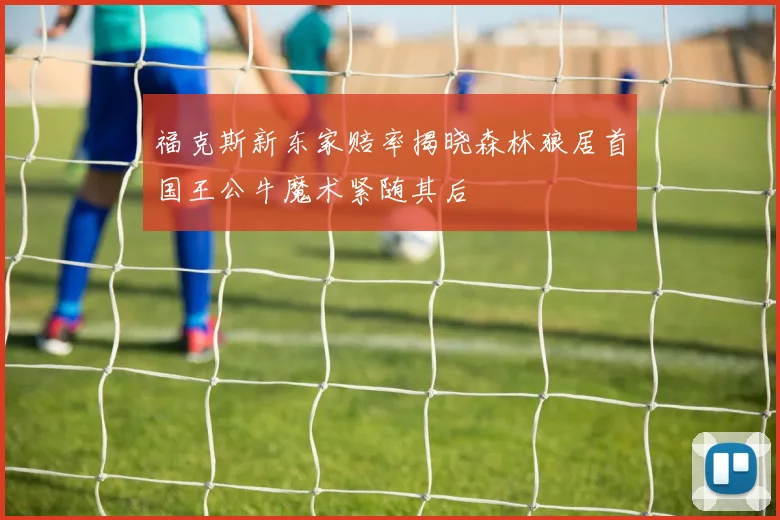 福克斯新东家赔率揭晓森林狼居首国王公牛魔术紧随其后